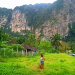Dila