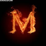 Majd