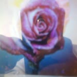 Ayse