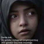 Emel