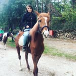 Arzu