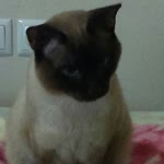 Ender