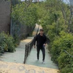 Mert