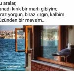 Hatice