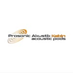 Prosonic