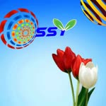 ossy