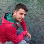 Şahin
