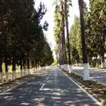 Kıydar