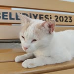 Eslem