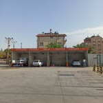 Şahin