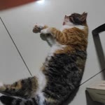 Onur