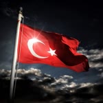 Selim