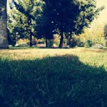 Cansu