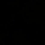 Ergin