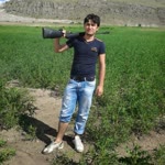 Samet