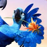 Kevser