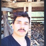 Türkeş