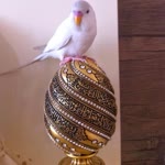 Burak
