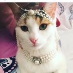 Sibel