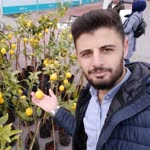 Kasım