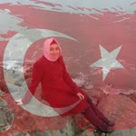 Nur