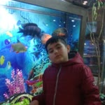 Alper