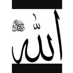 Feyzanur