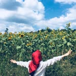 Elif