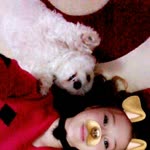 Buse