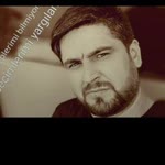 Vedat