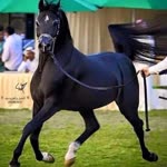 Munir