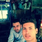 Turgut