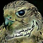 Abfras