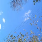 Poyraz