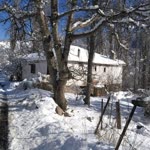 Murat
