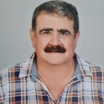 Bulent