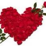 Derya