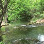 Şems