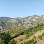 Ege