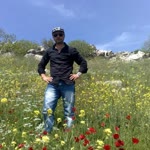 Halim