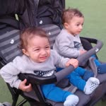 Gulden