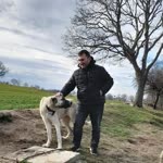 Semih