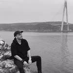 Doğan