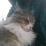 Burak
