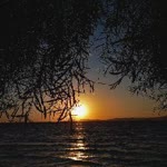 Ebru