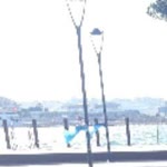 Aynur