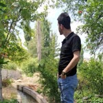 Mücahit