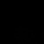 Nisa