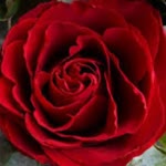 Esma