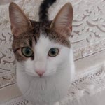 Muzaffer